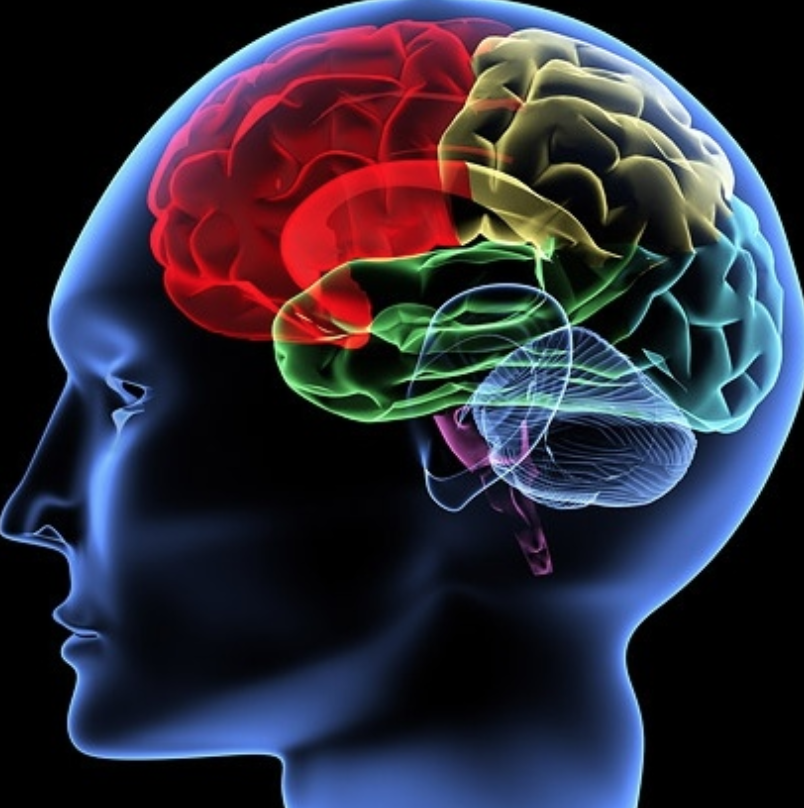Practices for “Resetting” Your Brain at Work